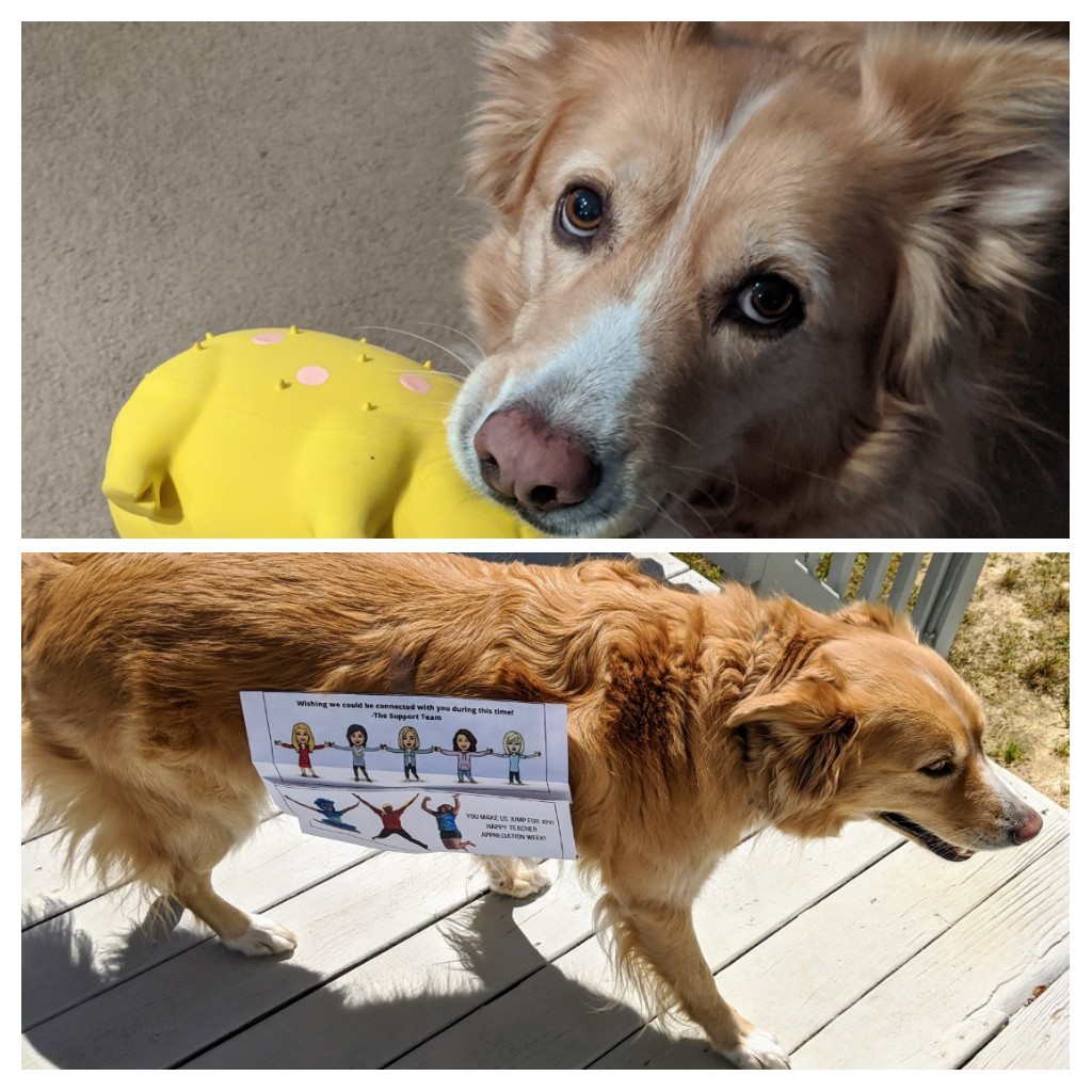 My #PancakePrincipals &amp; #SmooshedSupportTeam got to play with Delilah today <a href="/HortonsCreekES/">Hortons Creek ES</a> #HawksDoItDifferent #OtherHawksMatter #ThankAWCPSSTeacher