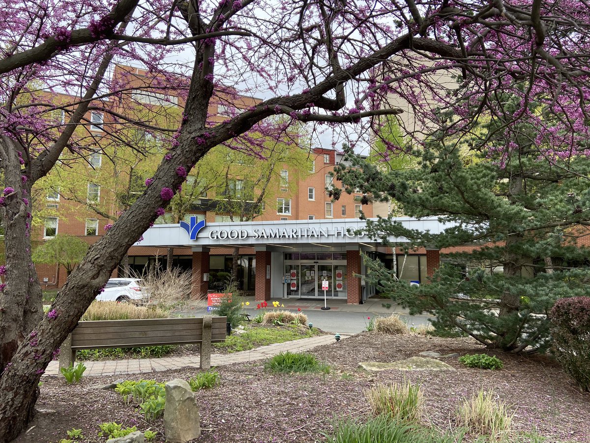 TheMeitheal's tweet photo. #TheMeitheal Week 6: Yesterday we made our 1st donation of $5000, to Good Samaritan Hospital Suffern NY. This is 1 of a number of restricted donations the Meitheal are making to Hospitals for specific purchase of PPE.
Our donation was gratefully received by Dr. Mary Leahy, CEO https://t.co/UDsC2Baxch