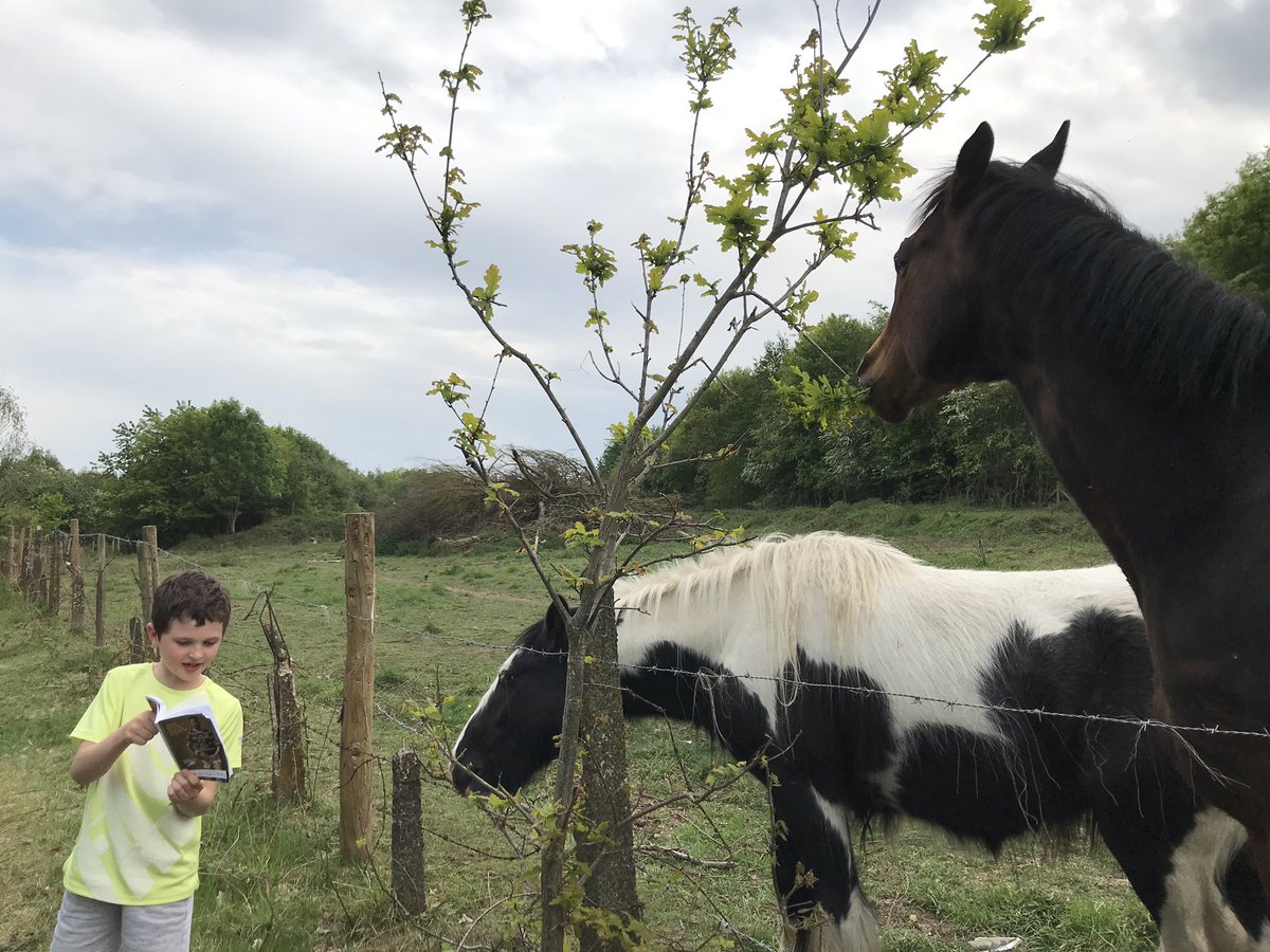 MrsLamb2020's tweet photo. #wildread 
Reading to the horses on our daily walk 📖 🐎 @bramley_park @CarrieG19353333 https://t.co/sR2E7vIEvx