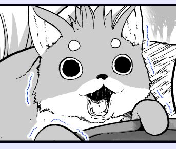 フレーメン反応なポンちゃん 