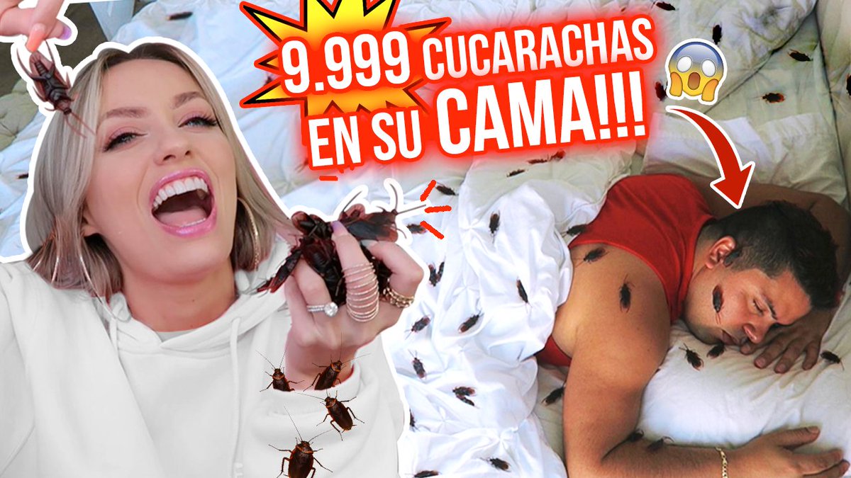 Katie Angel tweet media