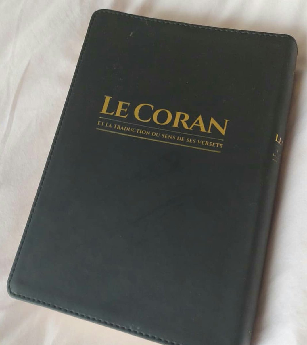 aliftar1's tweet photo. Pour les non-arabophones, la lecture du Coran est souvent reléguée au second plan. On pense à tort que tant que l’on ne maîtrise pas la langue arabe on ne peut pas tirer profit du livre d’Allah.
Voici une traduction qui facilitera cette démarche.

🚩https://t.co/ZhBuVtdb0M https://t.co/O4cOaKDF6h