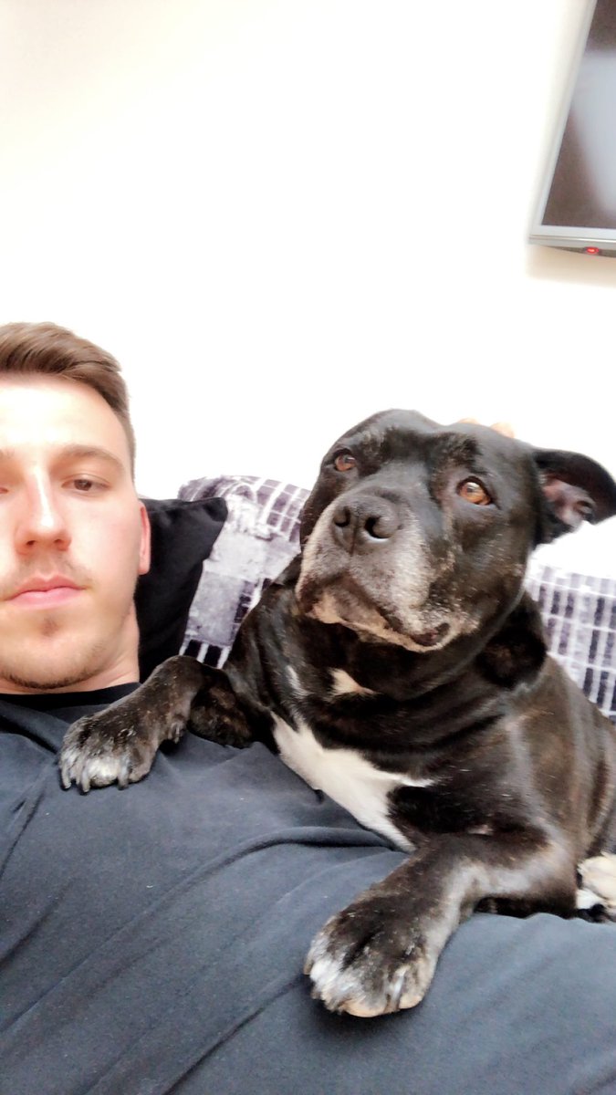 JoshDuggan10's tweet photo. Rest easy bigman ❤️
Finally reunited with your mom in doggy heaven https://t.co/y5VVmJBwgx