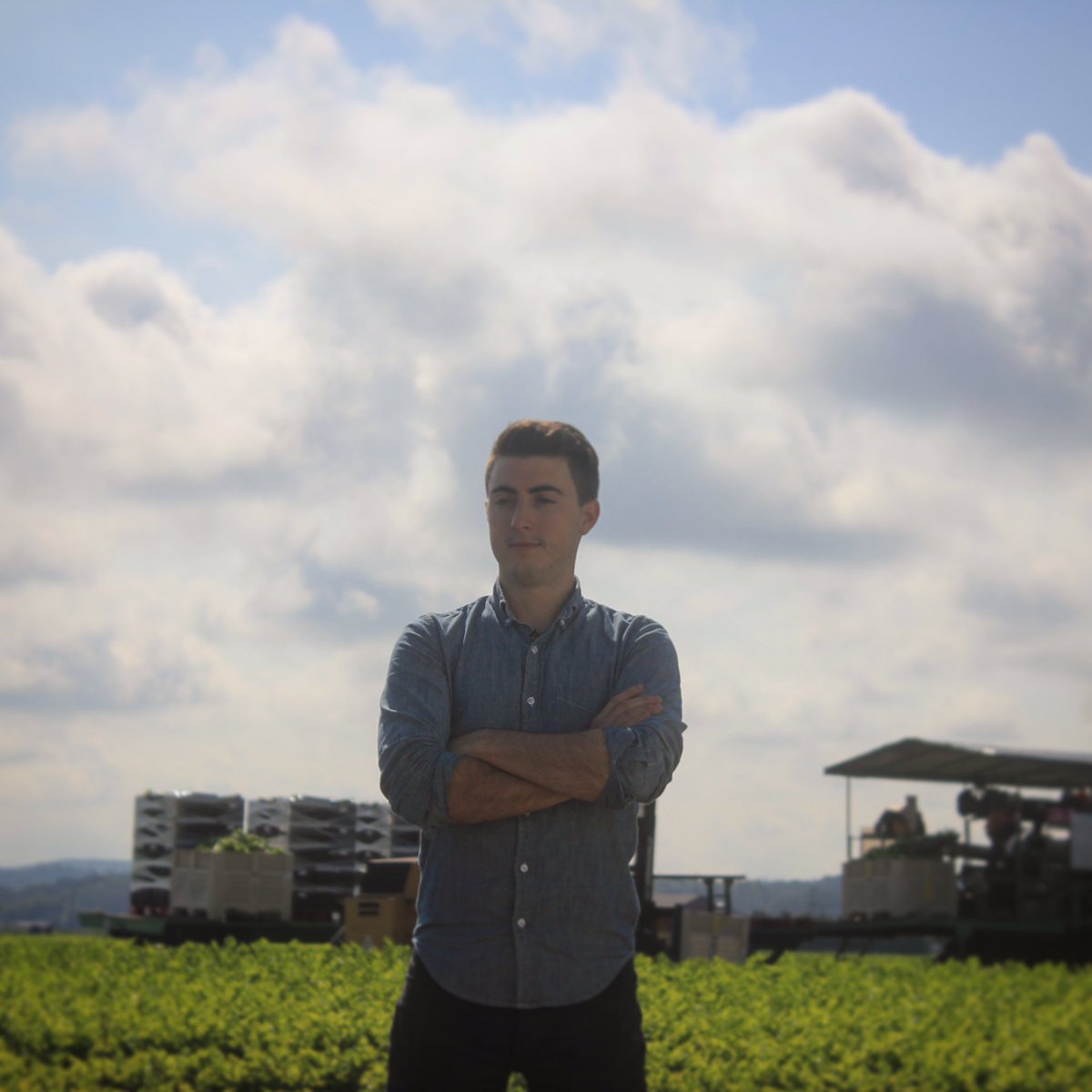 Before the Plate tweet media