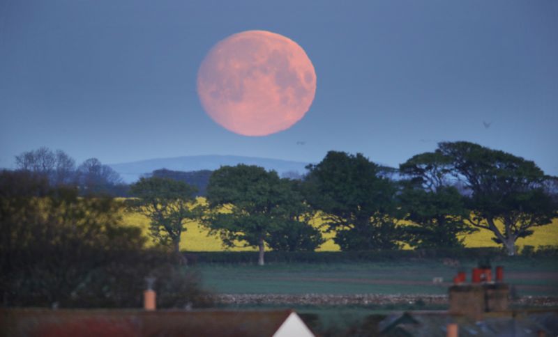 Calculations indicate that today's Full Moon will be auspicious for India and rest of the world but it will prove to be disastrous for China. #supermoon2020 #supermoon