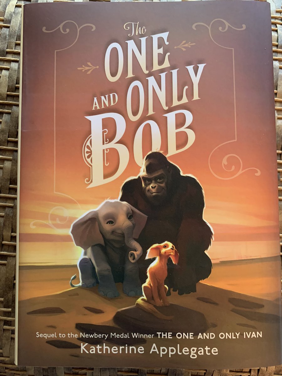 So excited that this has just arrived on my doorstep!! I can’t wait to share it with my students!! #keyportschools #TheOneandOnlyBob