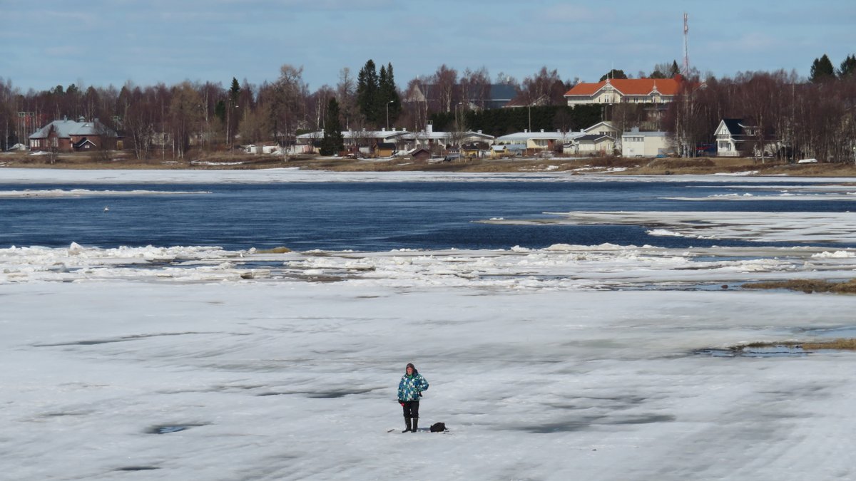 ElfMika's tweet photo. #Icefishing season in #Tornio #Finland is over - almost. Thursday 7.5.2020
#fishing #kalastus #pilkkiminen #Tornionjoki #discoveringfinland #visitfinland #visitlapland #thisisfinland #lappi #lapland #thisislapland #river https://t.co/8hQMVSmIQt