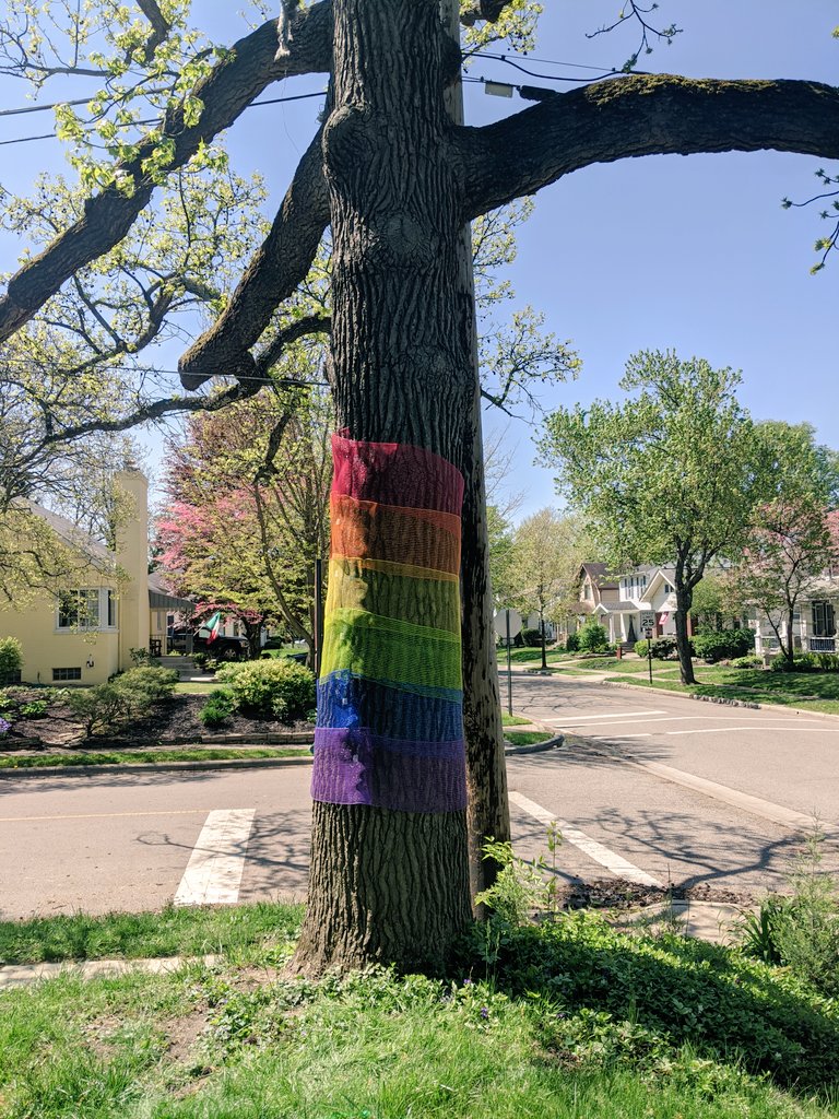 MrsSextonsClass's tweet photo. Adding a bit of whimsy and hopefully uplifting the moods of passersby with my front yard tree transformation. Thanks to @_JasonBlair for the #repairchallenge! #C4PZCMA https://t.co/gwWuleCOLy