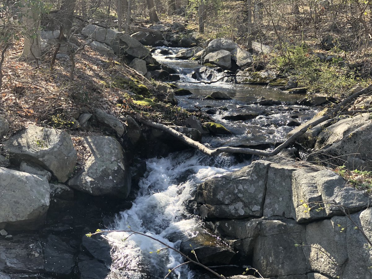 PLVBlueDevilsSB's tweet photo. #FreshAirThursday @PHSClass_2022 https://t.co/0Q0KvQp3cW
