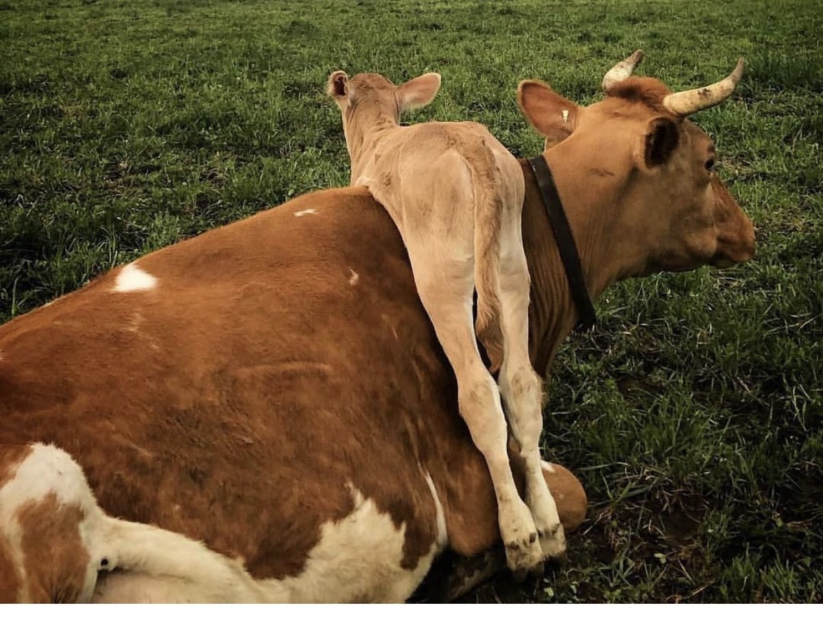 Mother's Day Market and May Musings - mailchi.mp/c519ce32c78b/m…