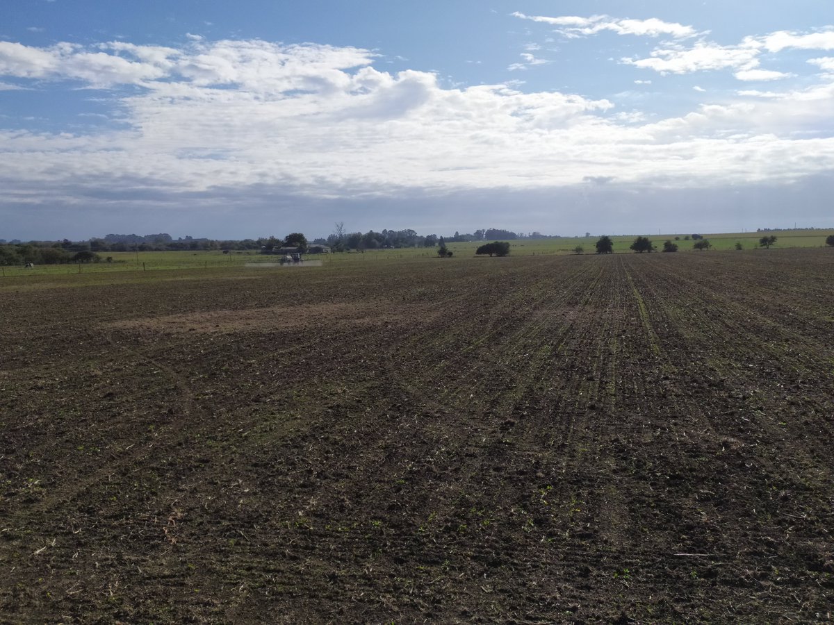 DietrichFM's tweet photo. Aplicando fertilizante para corregir la nutrición vegetal y favorecer la Microfauna #polvo #seguimos #ajustando https://t.co/QlmMQW7k0o