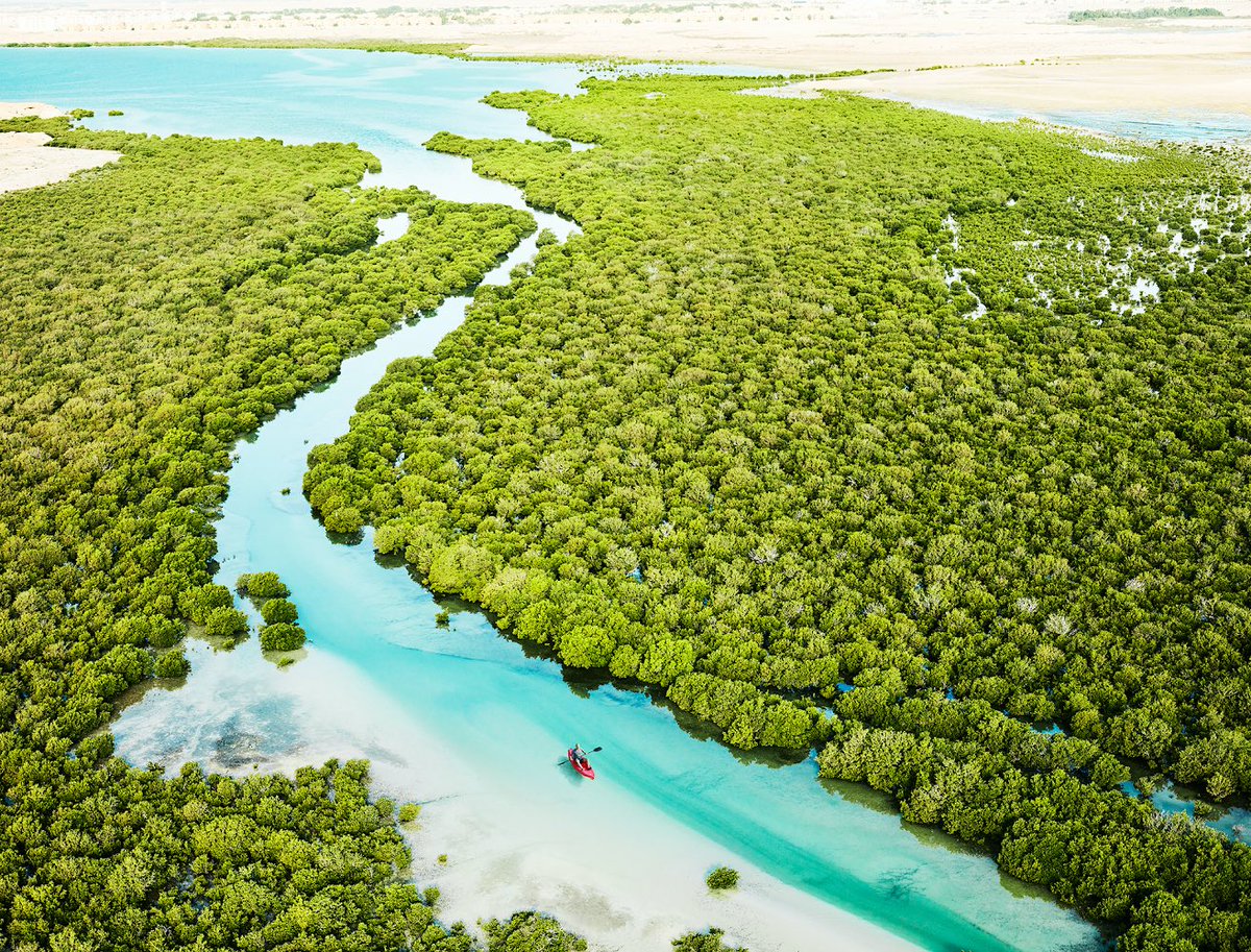 CreateSA tweet media