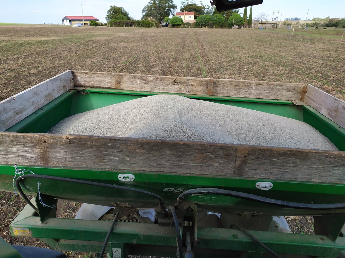 DietrichFM's tweet photo. Aplicando fertilizante para corregir la nutrición vegetal y favorecer la Microfauna #polvo #seguimos #ajustando https://t.co/QlmMQW7k0o