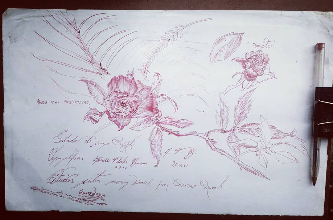 artemathu's tweet photo. #arte #artist #Flowers #drawings #sketch #pendrawing #illustration #penillustration #freehanddrawing https://t.co/BckK12EW1v
