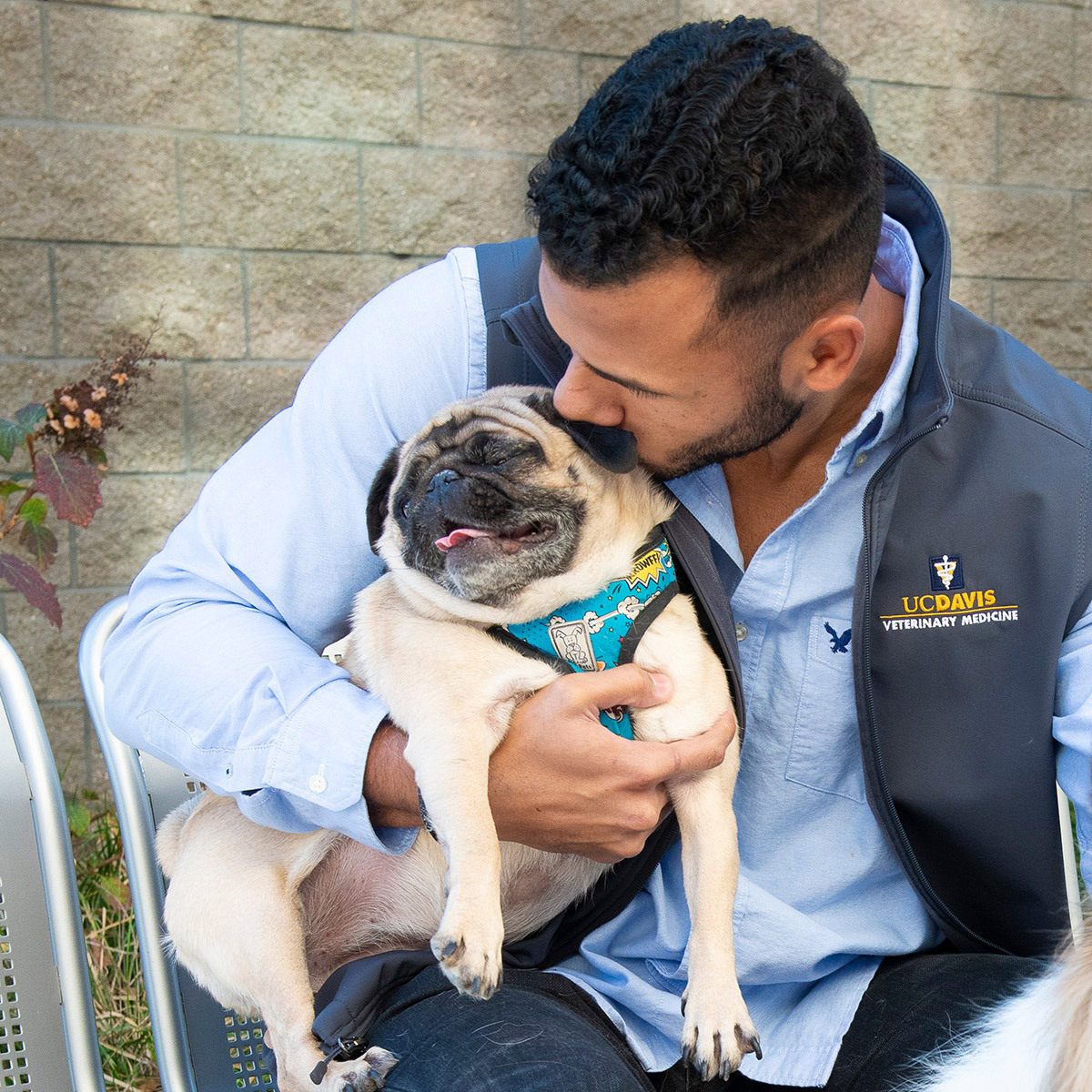 ucdavis's tweet photo. #UCDavisSpringSnapshot (5/7): How are veterinarians relevant to the coronavirus pandemic? Why is my dog acting different now that I’m home all day? Get these questions and more answered by @ucdavisvetmed experts: https://t.co/xhyZJGG71O https://t.co/FFXvDzFE0m