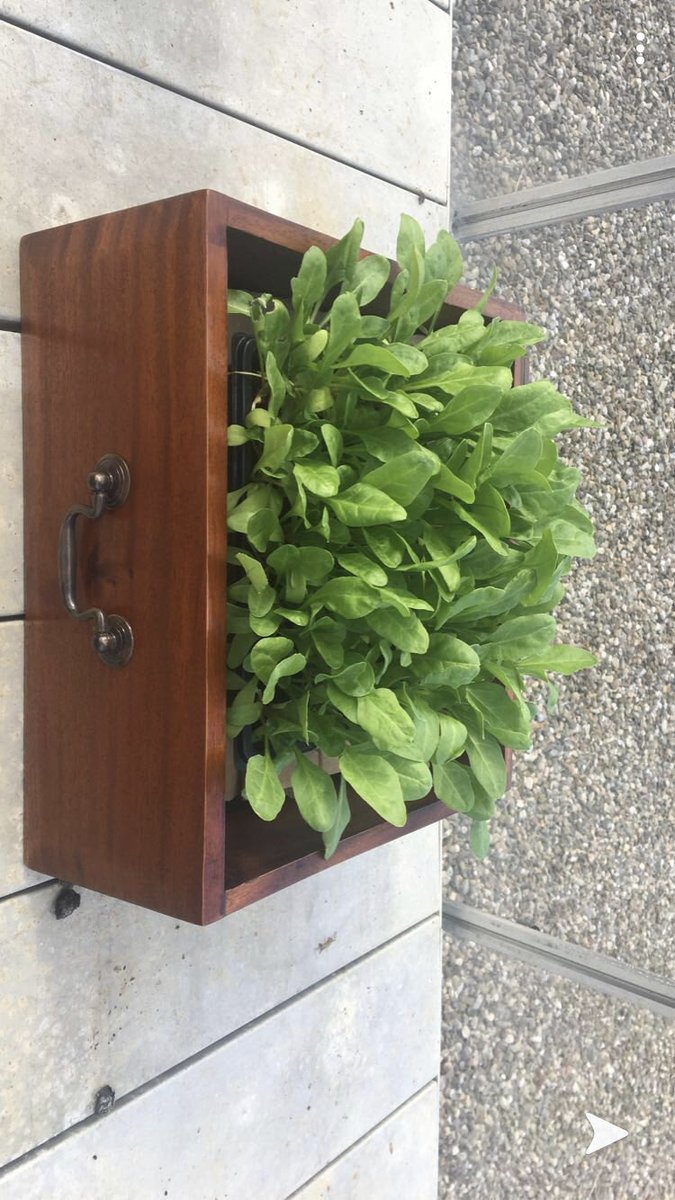 NeasaHarris's tweet photo. Another beautiful entry from Maria second year Scoil Mhuire Agus Ide Making over some old furniture after being treated and now a wonderful planter. Great job Maria! @ATHE_Homeec #homeeconomics #makeovermay2020 https://t.co/PEaMh5kA6U