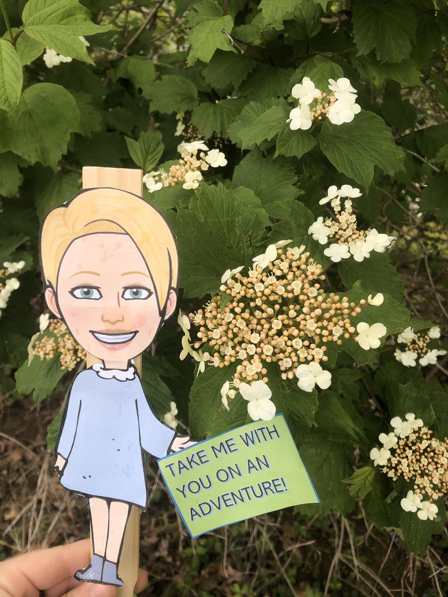 MrsMproud's tweet image. Flat milanoski went on an adventure today.  Love when reading is included!