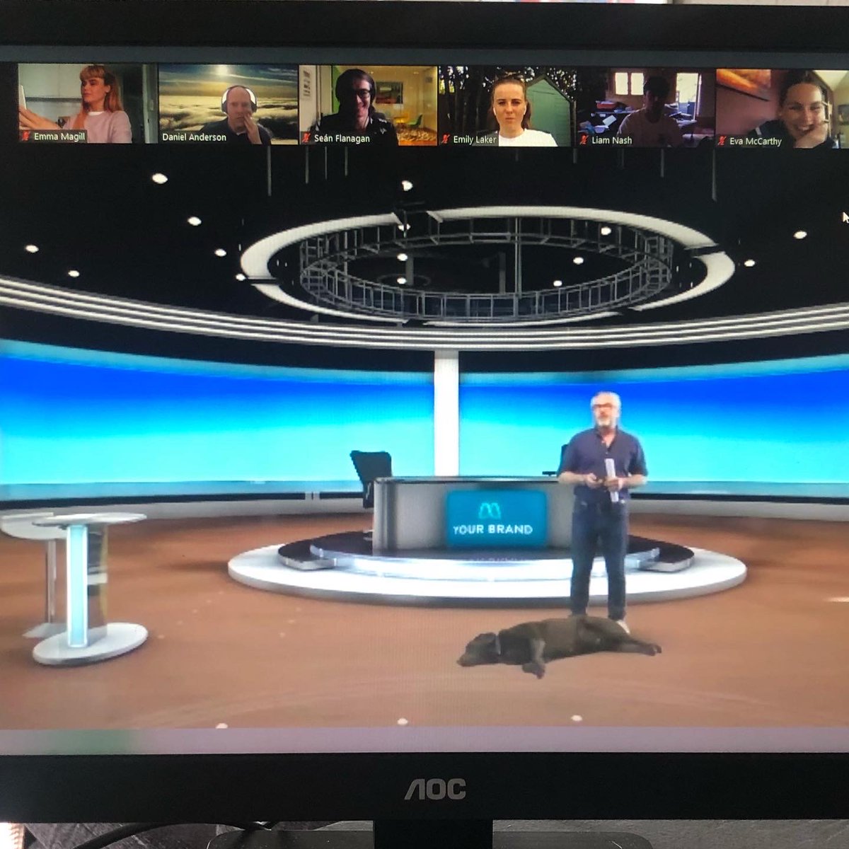 VerveLiveAgency's tweet photo. Our first Verve Townhall from our new virtual events studio! (Oscar loves it π) #VerveVirtual #VirtualEvents #DigitalEvents #Townhall #Virtual #Dublin #Events https://t.co/SLYL66R0yz