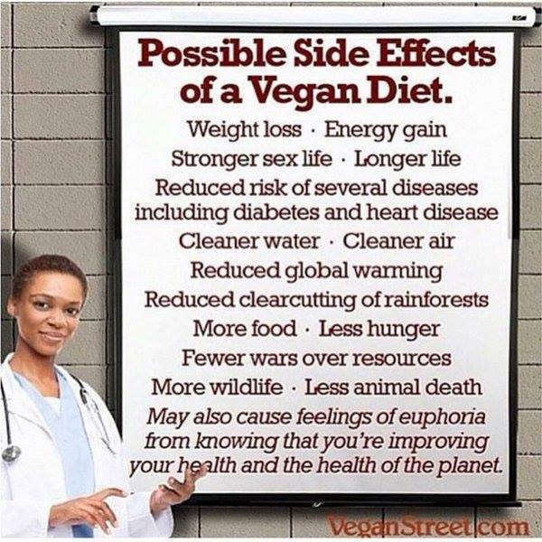 JeanJakz's tweet photo. @herbivore_club #PlantBased #MeatFree #Vegan #FYHealth #FightCOVID19 https://t.co/1eFloCuKWs