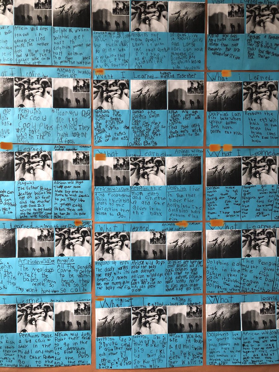 IsabelMayoral9's tweet photo. I have truly enjoyed watching my 1st graders writing skills take off this year. Certainly authors in the making. #FUSD #studentswrite #meaningmaking #engagement #studentownership https://t.co/XYcUfyF21q