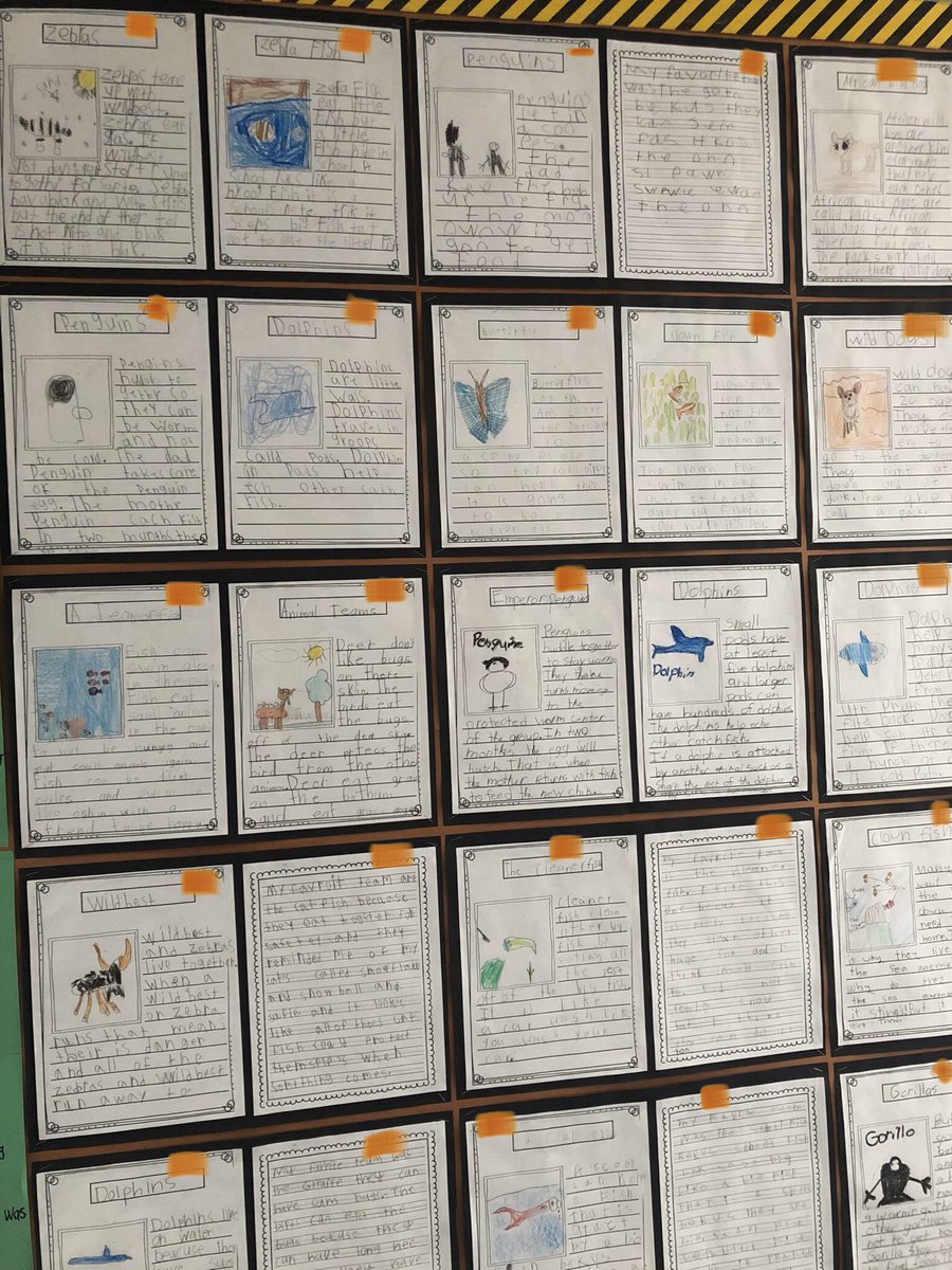 IsabelMayoral9's tweet photo. I have truly enjoyed watching my 1st graders writing skills take off this year. Certainly authors in the making. #FUSD #studentswrite #meaningmaking #engagement #studentownership https://t.co/XYcUfyF21q