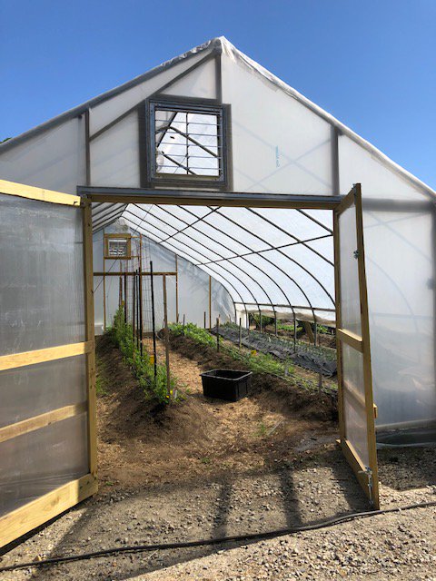 DoorsOpenRI's tweet photo. "Honestly, being at the Farm at dawn and sunset, when the light is golden and magic, is an incredible experience..." -Anne Holland, @WhatCheerFarm, 46 Atwood St., PVD, RI. More of this and other #rhodylovenotes at https://t.co/278I4CiADB https://t.co/fcNigEceXS