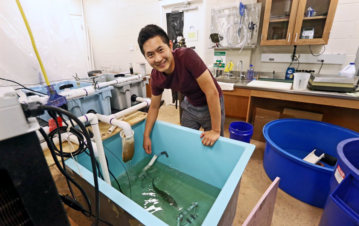 vaseagrant's tweet photo. 3 VASG supported students with @JMcDowell_Lab, @Jingwei Song, @indseyNoel, &amp; @annieropp, will be presenting during the Tidewater chapter of the @AmFisheriesSoc virtual conference TODAY at 1pm. Click the link &amp; register for "Session 8" to join. It's free! https://t.co/i8ac1vsVjr https://t.co/jLoqmcJ1rf
