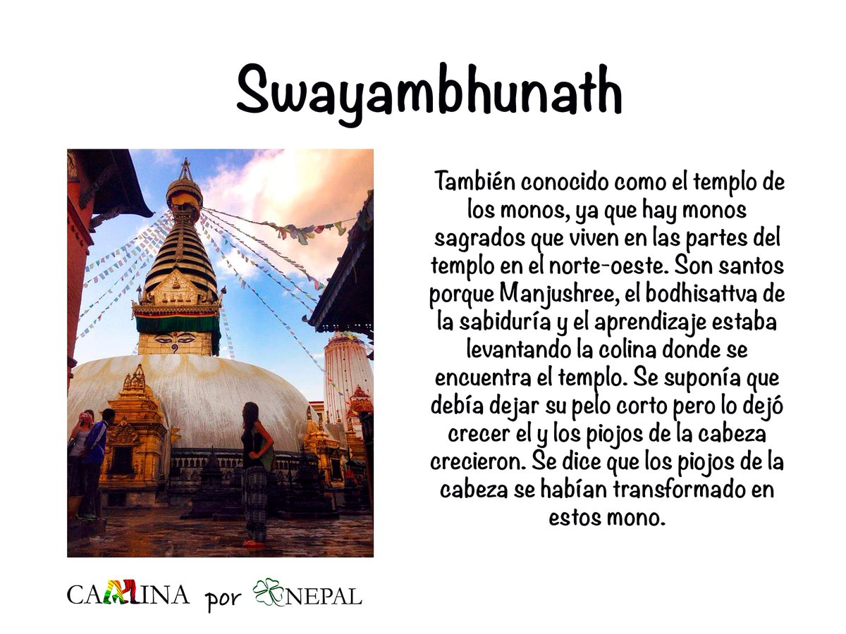 CaminaNepal's tweet photo. Camina por Nepal día 27: Swayambhunath
.
.
.
.
#caminanepal #caminamosjuntos #caminaconmigo #swayambhunath #monkytemple #templodelosmonos #stupa #budismo #katmandu #instanepal #nepal #ong #ngo #namaste #cuarentena #confinamiento #turismo #turismovirtual #enjoy #yomequedoencasa https://t.co/oPTTQBSxn4