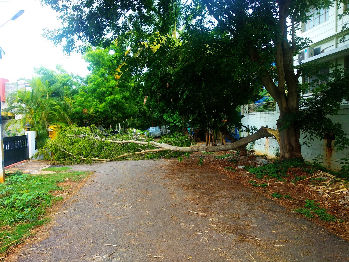 Nanjappa MN tweet media