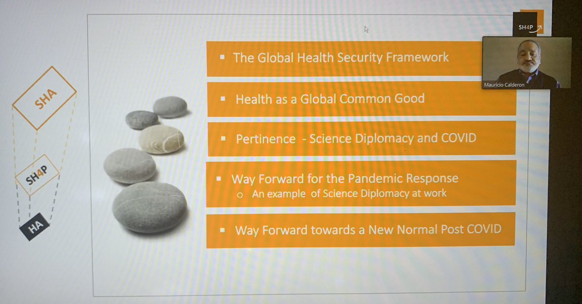 Branka2Panic's tweet photo. @CalderonMaur at #sciencediplomacy seminar on #health as a global common good - #science and #policy for the global commons in times of #COVID19 and as a way forward in #pandemic response @DUCIGS @DukeU @sh4_pp #sh4p #globalhealth #onehealth https://t.co/z9JIrTIu2N