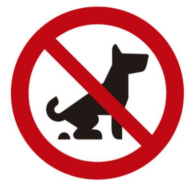 barcelona_010's tweet photo. Sempre ho és, però durant el desconfinament és especialment important complir el què estableix l'Ordenança de mesures per fomentar i garantir la convivència ciutadana a l'espai públic de Barcelona (Civisme)
https://t.co/8frRZIPdZD
#Covid19 https://t.co/SB5sbOllCF