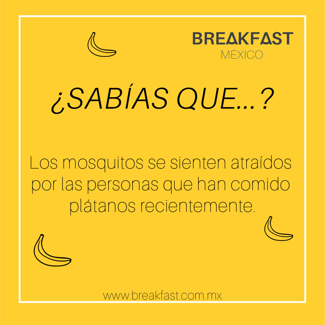 breakfastmex's tweet photo. ¿Sabías Que...?

¡Pónganse protector contra mosquitos después de comer un plátano!

https://t.co/7h1sKEsLQY

#BreakfastMéxico #BreakfastMexico #BreakfastMex #Breakfast #NoticiasBreakfast #NoticiasGastronomicas #Gastronomia #Sabiasque #SabiasqueBreakfastMexico #SabiasqueBreakfast https://t.co/b1aYEFcg0j