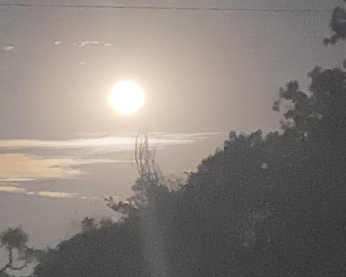 zirebwas's tweet photo. Today the moon is gigantic. Jenaguru. In our culture, a while ago, this is entertainment time. Everyone will be outdoors singing and dancing throughout the night. #Jerusarema, #Mbende, #Muchongoyo and some courtship 💕too. https://t.co/pAhkv56wfp