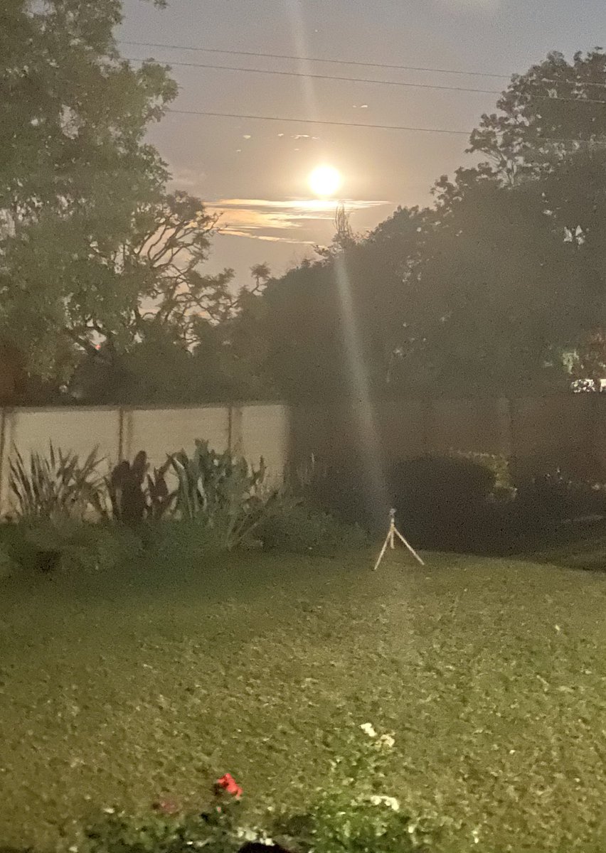 zirebwas's tweet photo. Today the moon is gigantic. Jenaguru. In our culture, a while ago, this is entertainment time. Everyone will be outdoors singing and dancing throughout the night. #Jerusarema, #Mbende, #Muchongoyo and some courtship 💕too. https://t.co/pAhkv56wfp