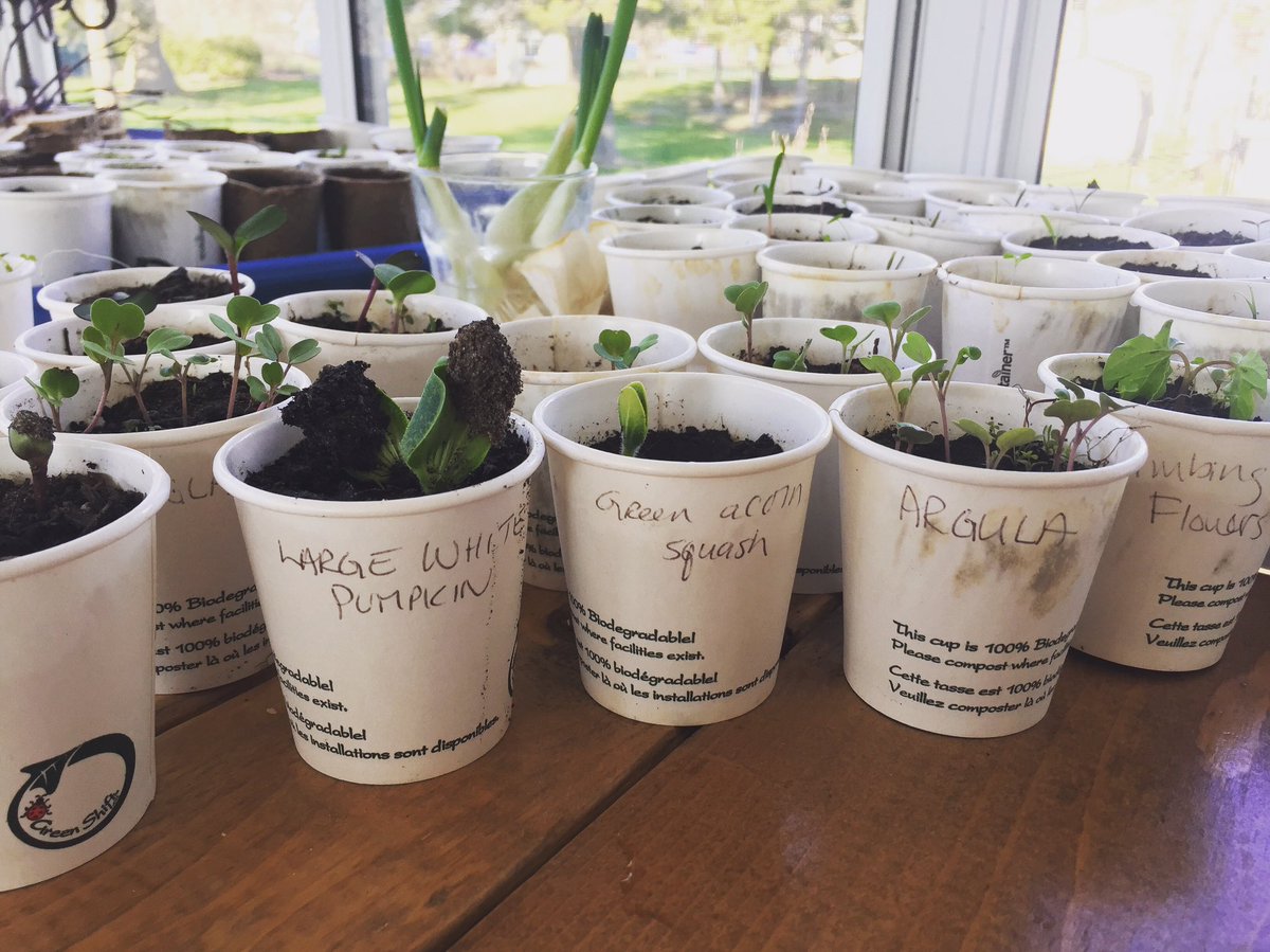 silverbeancafe's tweet photo. Espresso cups that keep on giving. https://t.co/wmlbwzRrwn