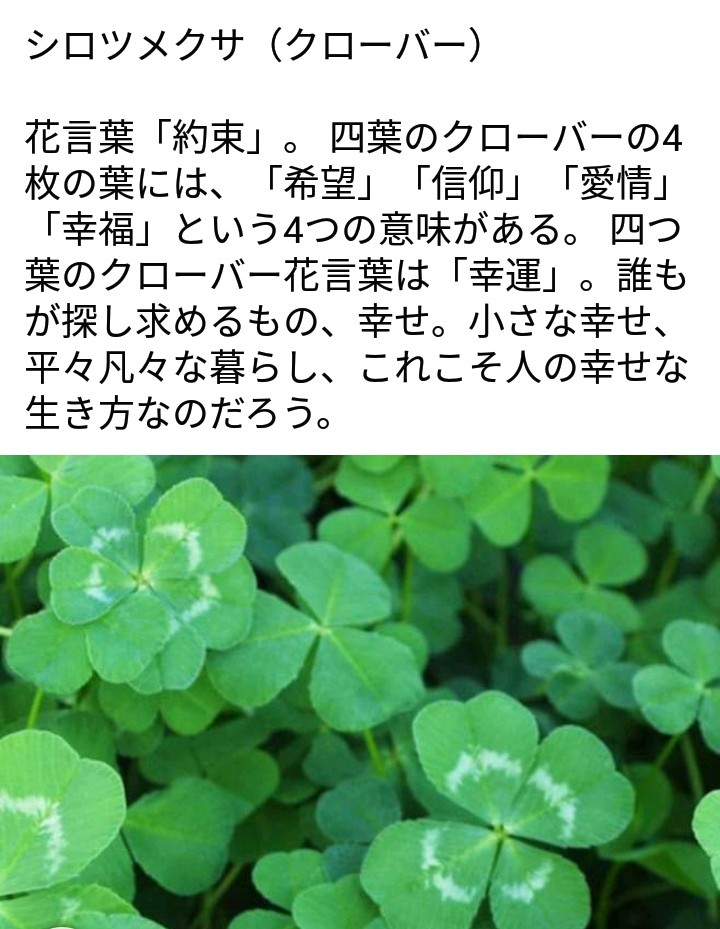 仲邑 桂 仲邑 桂