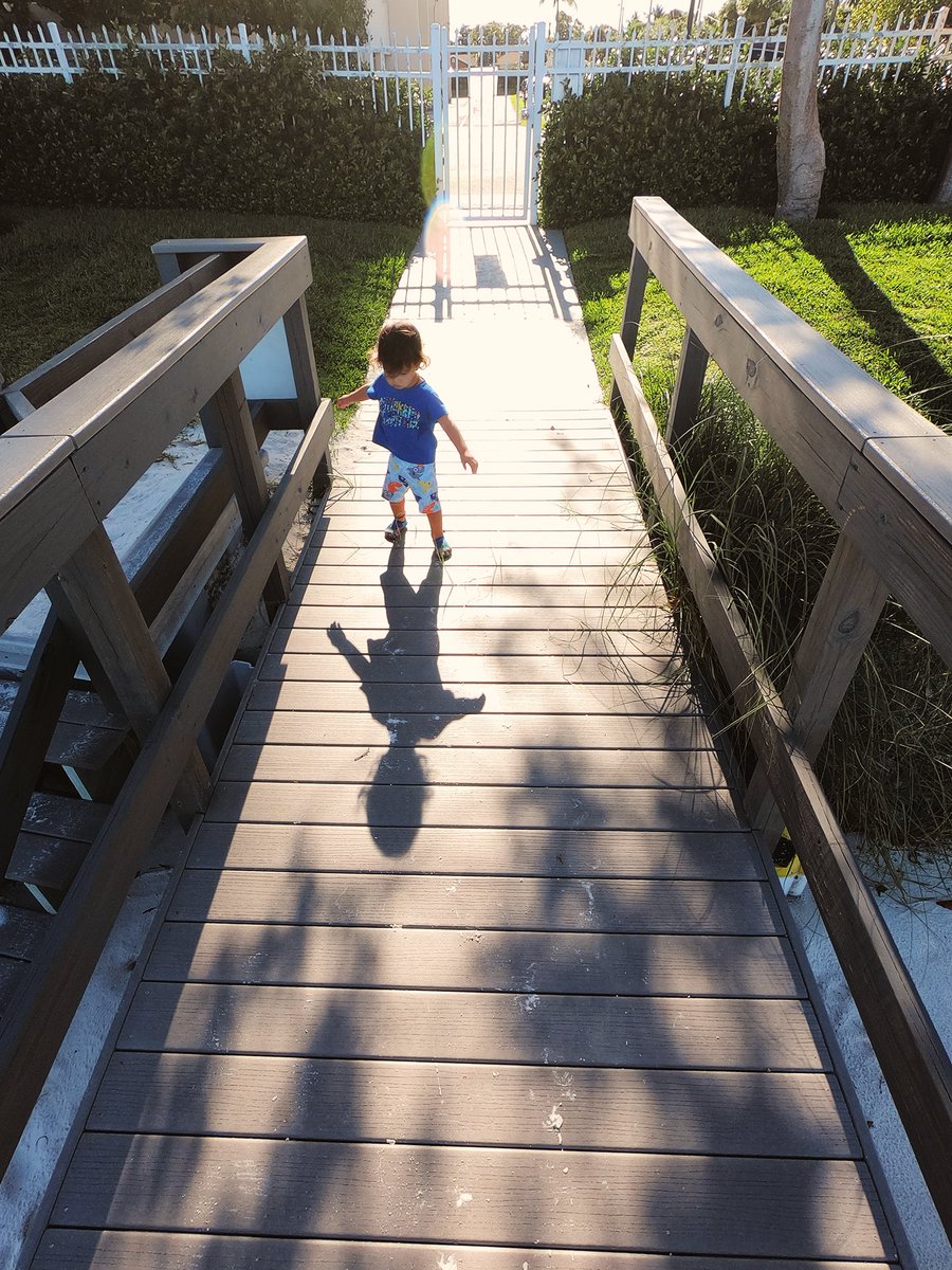 CatOrRaccoon's tweet photo. Digging the curiosity with my son. #goproshots https://t.co/i5JvMtWSaH