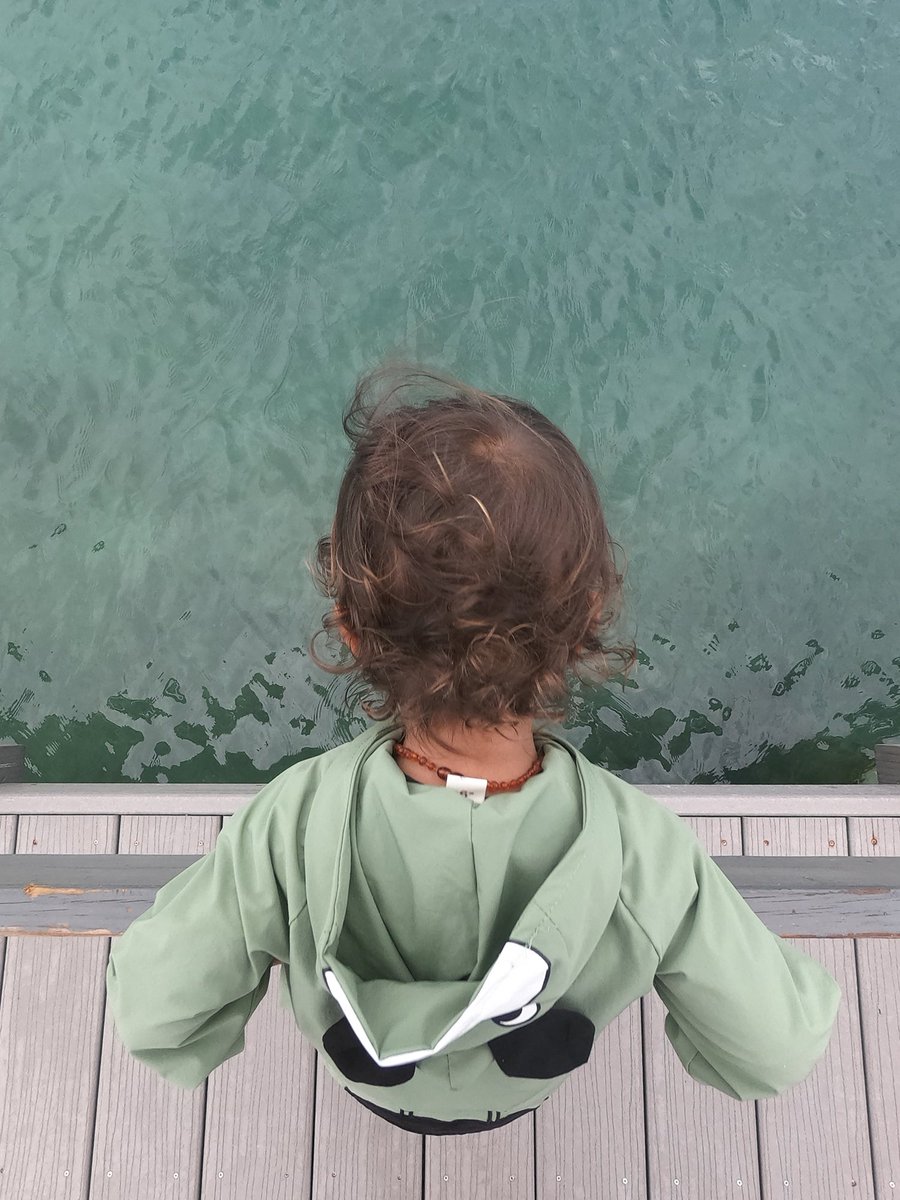 CatOrRaccoon's tweet photo. Digging the curiosity with my son. #goproshots https://t.co/i5JvMtWSaH