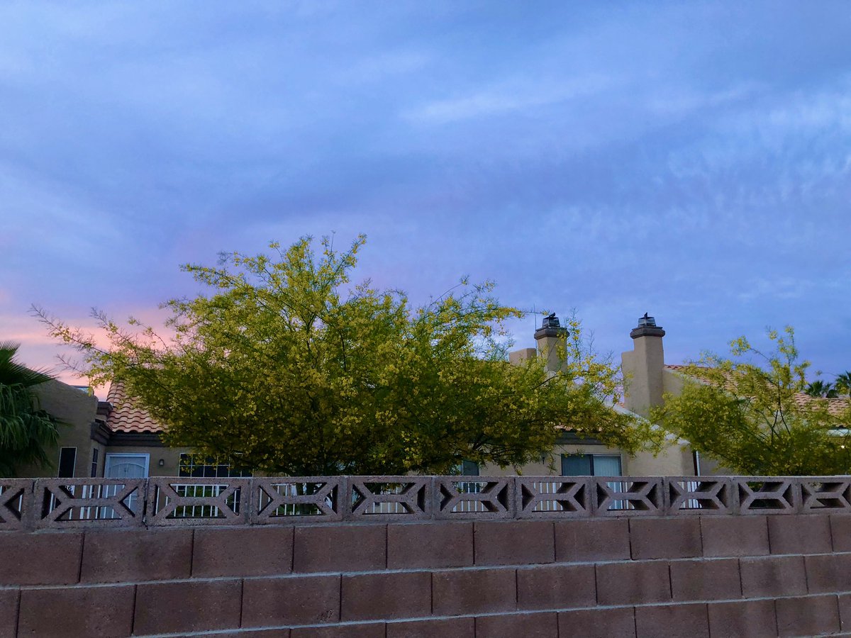 FloridaGrecco's tweet photo. #NaturePhotography #natureforsmiles #thursdaymorning #ThursdayThought #pinkskys https://t.co/qc3Y3KIhlr