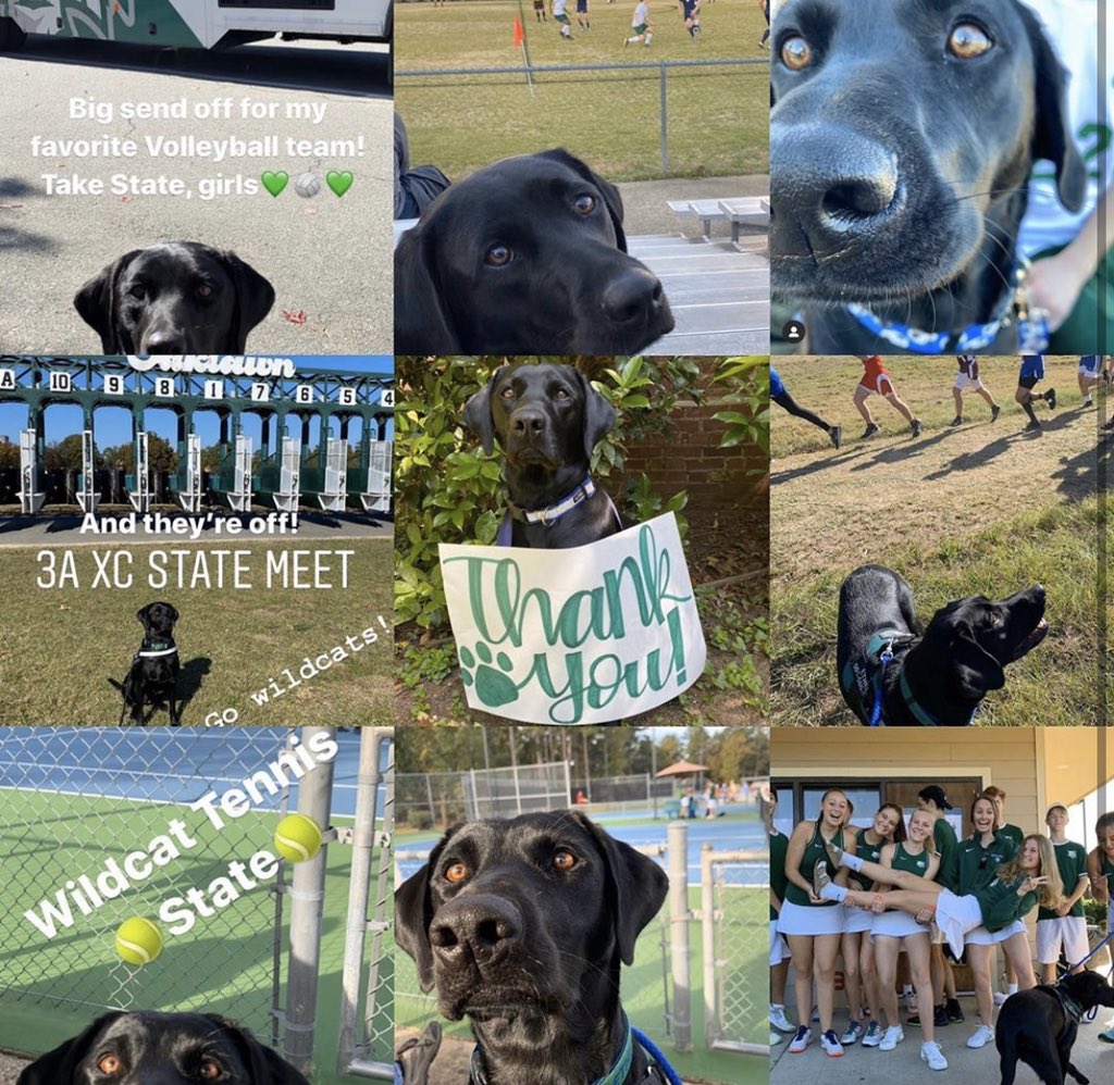 SportsEpiscopal's tweet photo. “Our family is tremendously grateful for the outstanding coaches and our entire ECS family. Super fan Ethel enjoyed every minute, too!” #runwildtogether #runwild #episcopalcollegiate #episcopalwildcats https://t.co/L7GG7CVp9Z