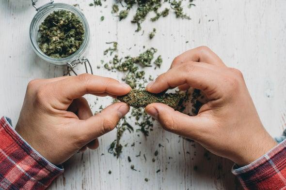 imjoejosph's tweet photo. Marijuana may not lower your IQ. Rigorous new studies should be able to settle the matter https://t.co/CchxuW0Tks https://t.co/tzgAmJZy4s