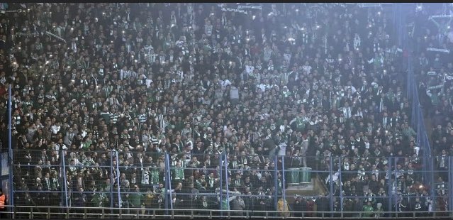OffensiveKNY's tweet photo. Balık istifi tribünün hastasıyız https://t.co/3Wi6pBHOy8