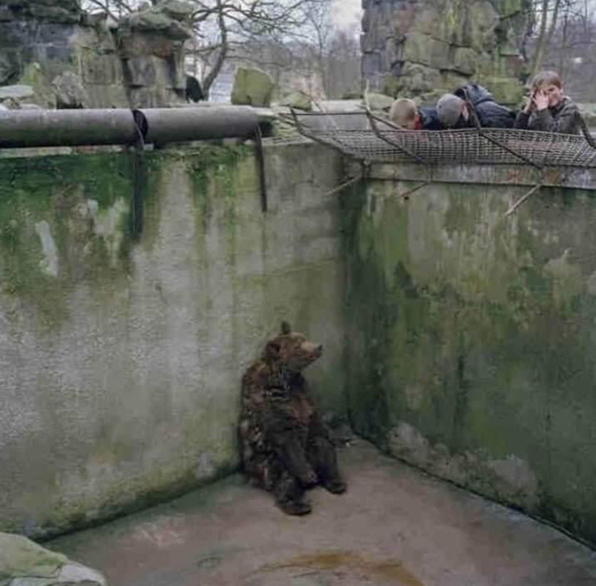 moraven12's tweet photo. Are you all tired of #Isolation? Well, now you know how they feel...
#AnimalRights https://t.co/QzTx9fxH9X
