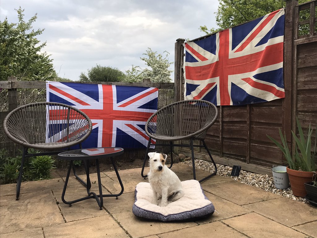V.E Day corner prepped with Patch on sentry duty. 🐶💂🏻‍♀️🇬🇧🇬🇧🇬🇧
