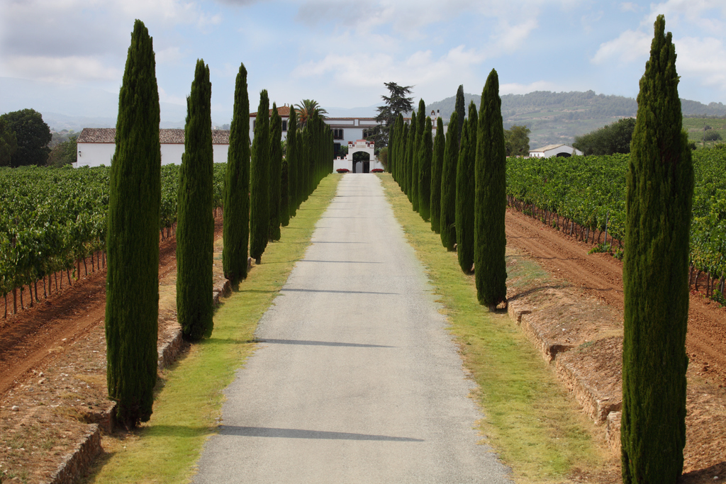 En aquest nou món les visites a Can Bas seranexclusivament privades i a porta tancada
#CanBas #Wine #dopenedès #WineTourism #Enoturisme  #InstaWine  #OrganicWines #WineTime #SavoireFaire #Wineyard  #Catalunya  #WineAddict #WineLovers #Vineyard #Biodiversity #dopenedes #barcelona