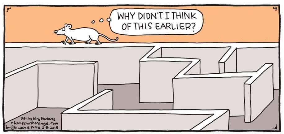 Blue Mesa Coaching tweet media