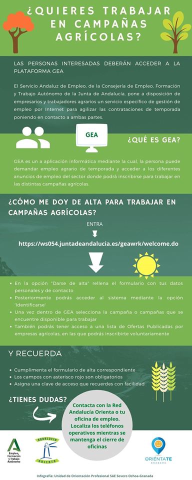 ImpulsaMijas's tweet photo. Si estas interesado/a en trabajar en el sector agrícola, el Servicio Andaluz de Empleo ha creado la aplicación GEA 
Tienes que darte de alta e inscribirte en aquellas ofertas que te interesen.. 😉👇

https://t.co/hw488xNCCY https://t.co/Y2f8WG1kSh