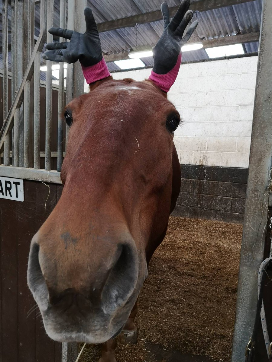 Hi everyone! Cathcart here, I hope you're all safe and well.  It's such a difficult time for us all, but let's take time to think of those working tirelessly to save lives.. Remember to join me and clap for our carers tonight at 8pm #NHS #clapforcarers #stayathome 🌈