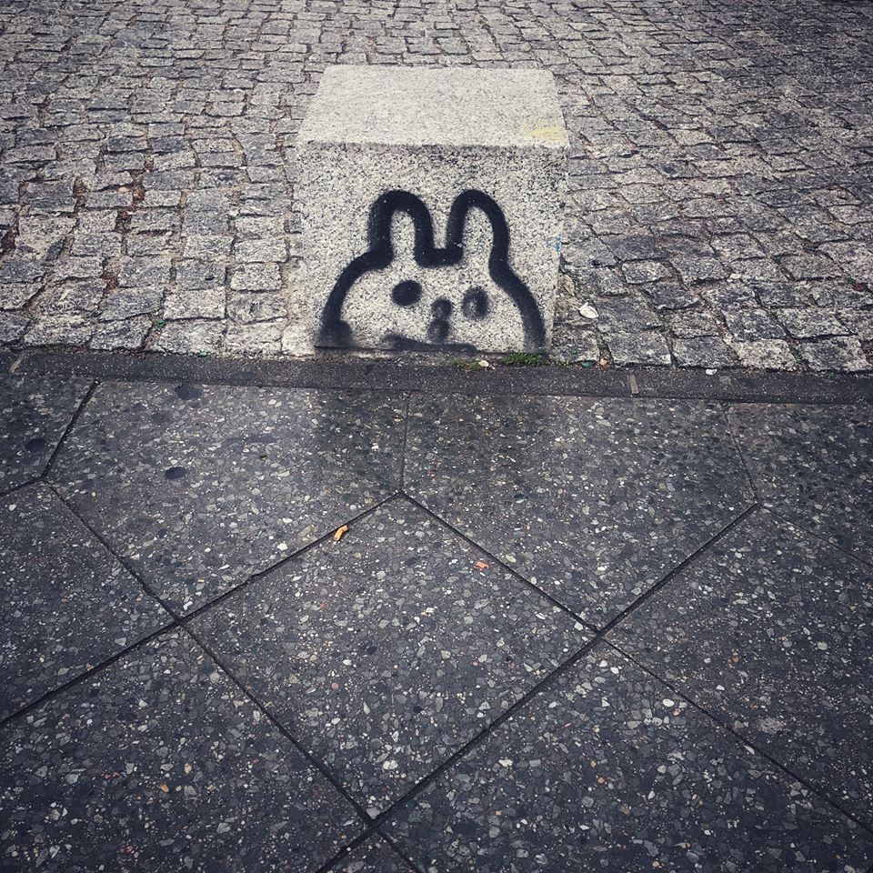 Not many rabbits in Berlin