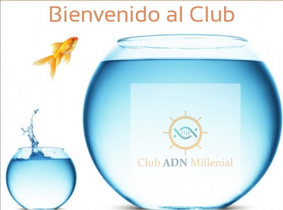 OMSTUDIO11's tweet photo. Mañana Gran Estreno de Club ADN Millenial 9:00 am no puedes faltar!
Forma parte de Nuestras Comunidad en Facebook Om Studio. #somostendencia #quedateencasa #friends #somostuclub #clubadnmillenial #omstudio https://t.co/wPfypnzuPr